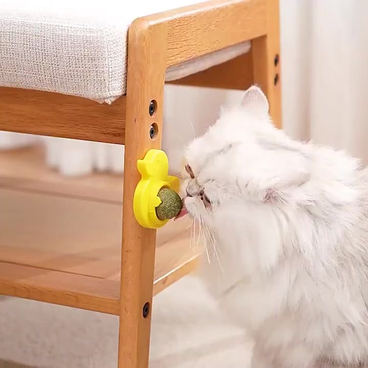 Bola Giratória Catnip Erva de Gato Brinquedo Interativo Para Gatos
